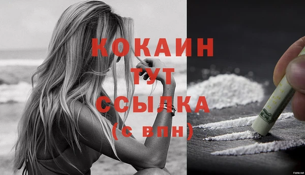 шишки Пересвет