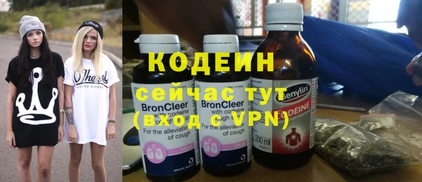 прущий лед Пестово