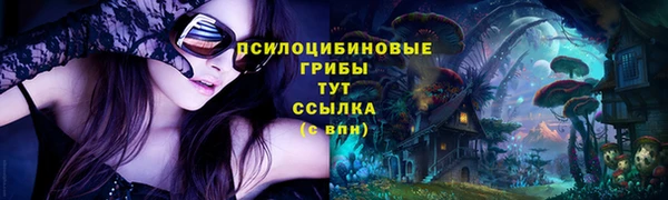 ПСИЛОЦИБИНОВЫЕ ГРИБЫ Алексин