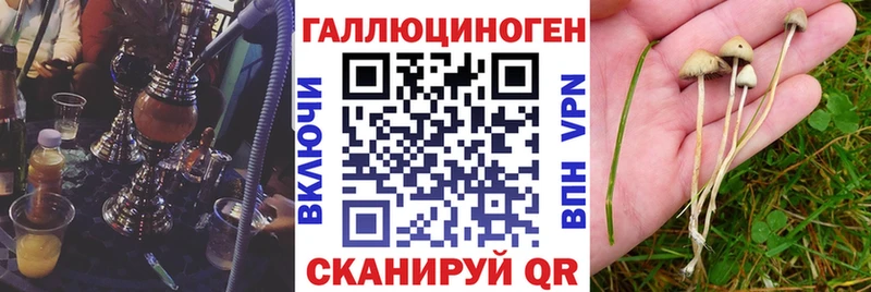 закладка  Сим  блэк спрут ТОР  нарко площадка официальный сайт  Галлюциногенные грибы мухоморы 